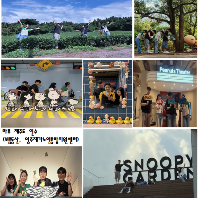 경상북도사회복지사협회 마루 제주도 연수 프로그램 - 제주에서 찾은 힐링과 재충전의 시간 이미지